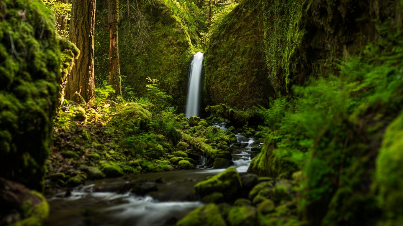 Beautiful Nature - Water Fall HD Latest Wallpaper 1080p ...